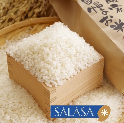 さらさ米(あきたこまち)5kg×1袋